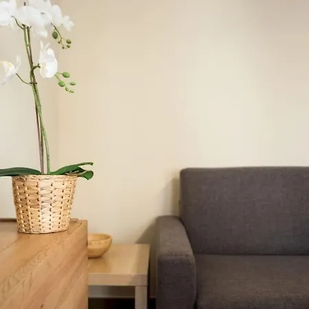 Casa Sulle Piste Ski&sky *